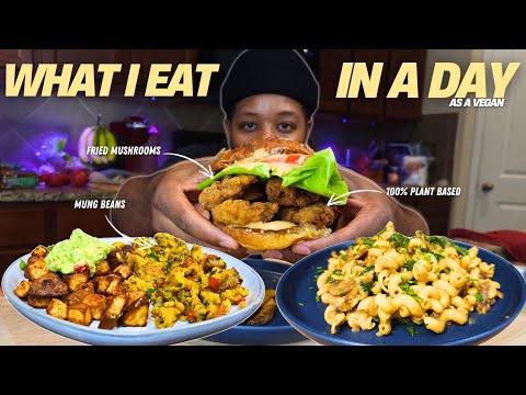 A Day of High Protein Healthy Vegan Meals