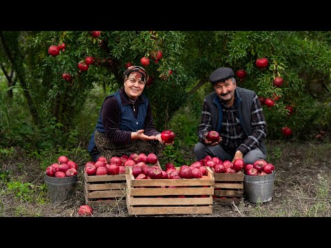 Baking Autumn Apple Pie with Fresh Apples 🍎🥧