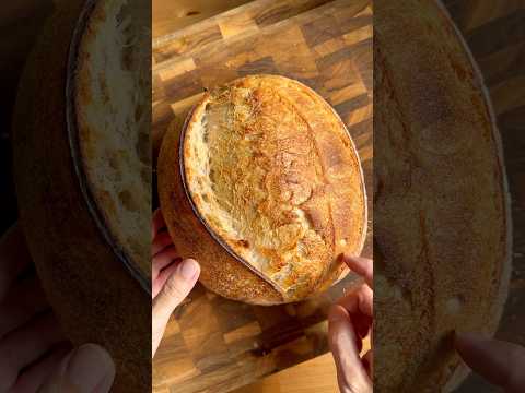 Basic Sourdough #homemade#sourdough#bread#recipe#shorts#tutorial#asmr#satisfying