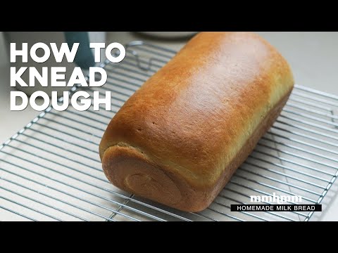 Bread Dough Kneading Tutorial + How To Make Homemade Milk Bread from Scratch.