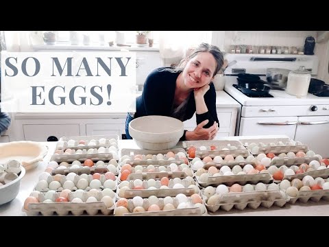 COOK WITH ME Egg Recipes + Freezing Some for Later