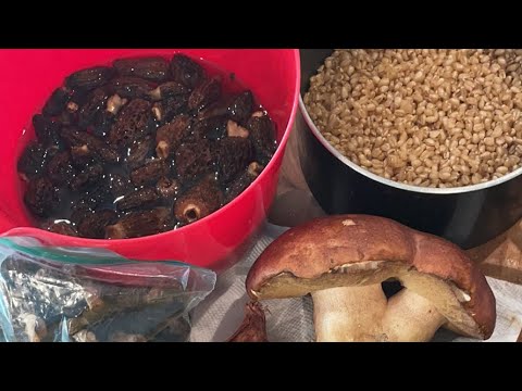 Creamy Morel Porcini Barley Risotto