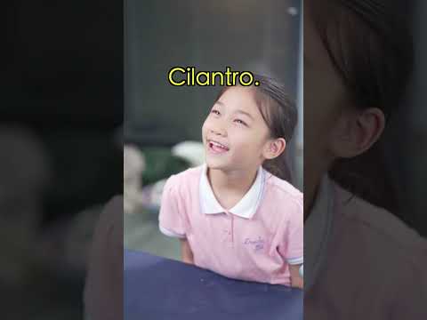 Do You Believe, Making Delicious Yogurt Ice Cream🍦 without a Refrigerator?