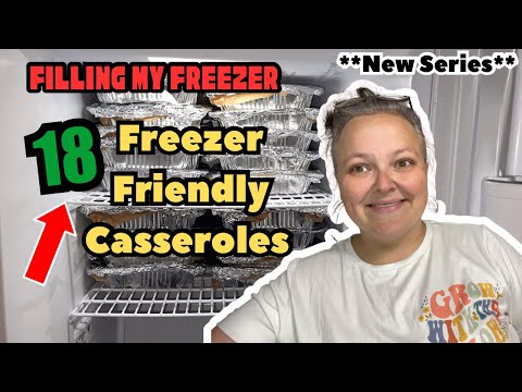 Easy Freezer Meals For Busy Days || Meal Prep & Filling My Freezer || Cheap Family Meals