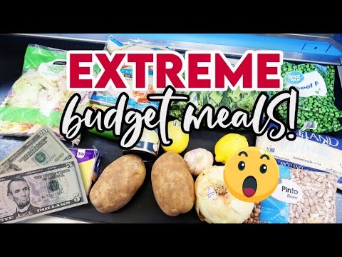 EXTREME BUDGET MEALS 💵 5 FAMILY DINNERS FOR $25 😲 @Jen-Chapin & @thesimplifiedsaver $5 DINNERS!