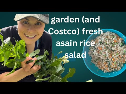 🥗 Easy Asian-Inspired Rice Salad with Tofu | Healthy Lunch Recipe