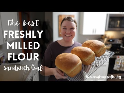 FRESHLY MILLED flour SANDWICH loaf • quick & easy • yeast