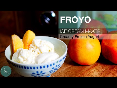 FROZEN YOGURT Recipe with Ice Cream Maker