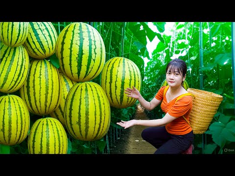 Harvesting Ripe Purple Plums and the Best Grilled Meatloaf | Authentic Country Recipes