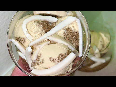 Homemade Frozen Yogurt Coconut Milk สูตรไอติมกะทิโยเกิร์ตแบบง่ายๆ ทำได้ทุกบ้าน