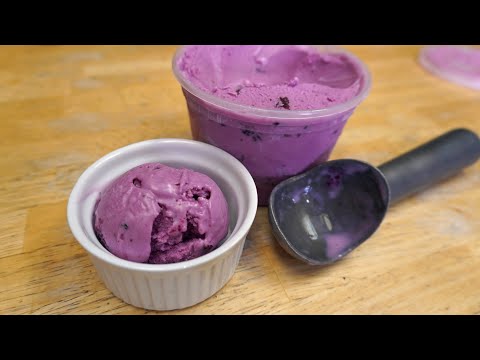 Homemade Frozen Yogurt With Any Fruit