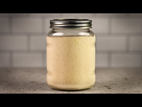 How To Make Sourdough Starter – Dished #Shorts