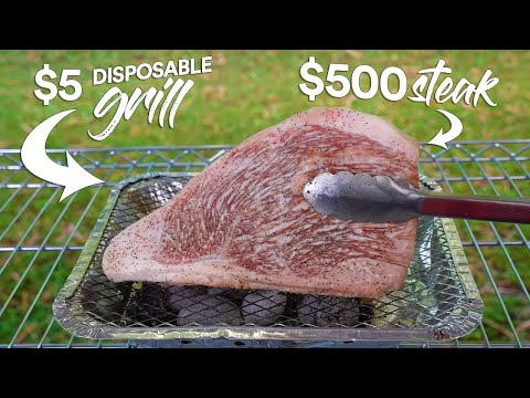 I cooked $500 Steak on $5 Grill and this happened!