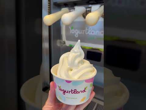 Insanely creamy frozen yogurt!