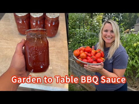 Making & Canning BBQ Sauce With My Garden Tomatoes – Full Recipe