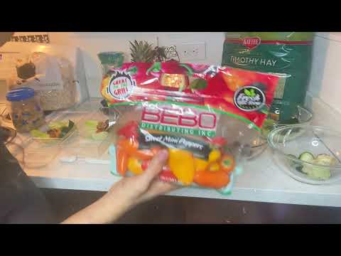 Making my Bunnies Salads & lunch 🥗 🐰