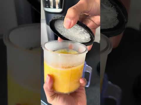 Mango Coconut Frozen Yogurt