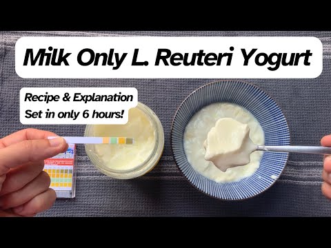 Milk only L. Reuteri Yogurt (New recipe)