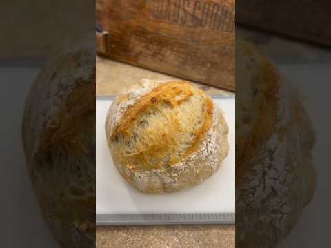 No Knead Dutch Oven Crusty Bread, no sourdough starter and only 4 ingredients #bread #homemade