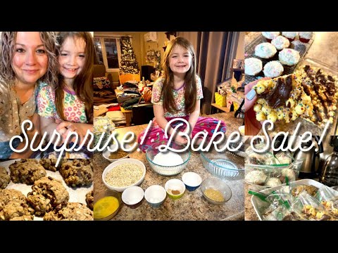 Oatmeal Chocolate Chip Cookies! New Favourtie TikTok Recipe! Bake With Us!