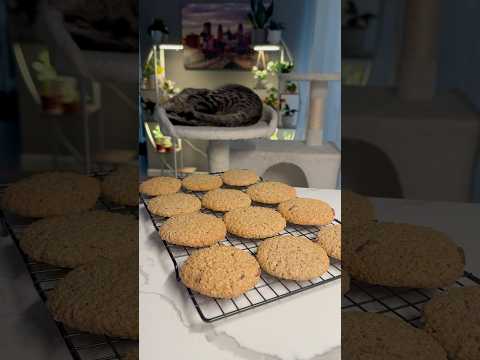 Oatmeal Cookies 🍪 A simple and quick cookie recipe made from basic ingredients