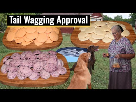 Paws-itively Perfect! 3 Easy Homemade Frozen Yogurt Treats, Inspirational  Thought