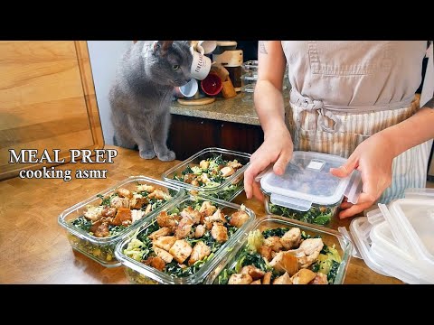 Salads, Beef Stew, and Rice Bowl Meal Prep.  Relaxing ASMR Cooking Video No Talking