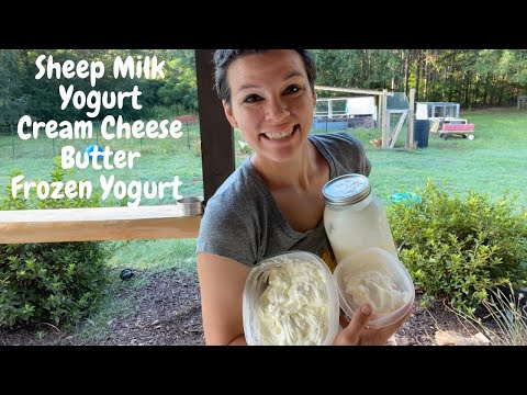 Sheep Milk Recipes: Yogurt, Butter, Cream Cheese, Frozen Yogurt