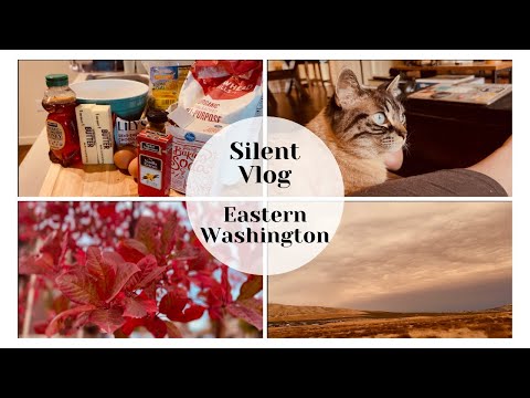 Silent Vlog | Eastern Washington | Healthy Cooking | Rough Week with a Pet Scare