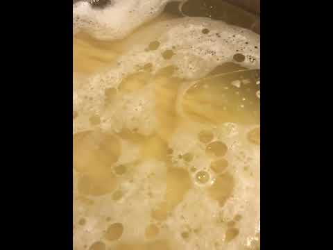 Spaghetti Dinner Cooking