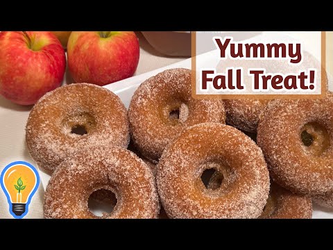 The Best Apple Cider Donut Recipe!