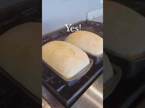 The BEST homemade yeast bread!