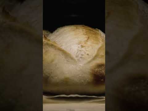 The Only Sourdough Recipe You'll Ever Need