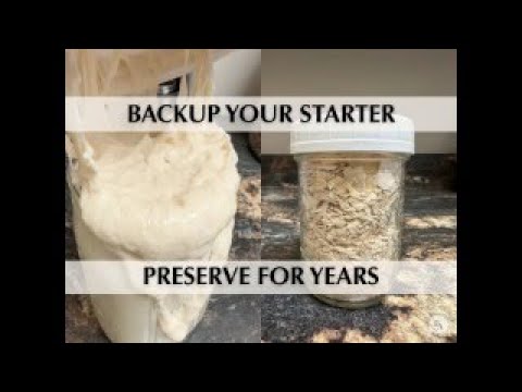 Tips for Preserving a Healthy Sourdough Starter