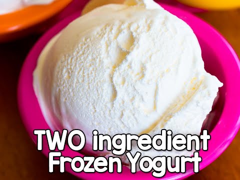 TWO ingredient frozen yogurt! (Yes, really!)