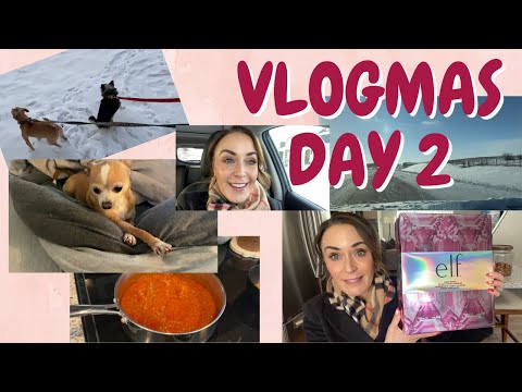 VLOGMAS DAY 2 \\ NEW NAILS \\ SPAGHETTI DINNER \\ LOTS OF DOGS \\ AND AN ELF ADVENT UNBOXING!!