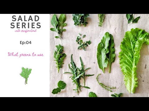What Greens To Use | Clean | How To Store For Ultimate Bowl Of Salad – Ep:- 04 Salad Series