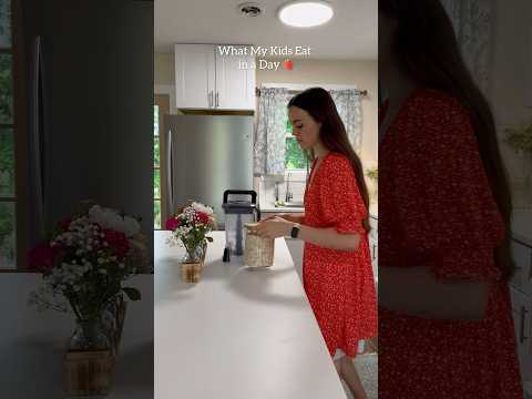 What My Kids Eat in a Day🍓 #healthy #meals #toddlermeals #recipe #mom #organic #mealideas #kids